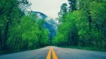 UCLA identifying strategies for carbon neutrality in transportation